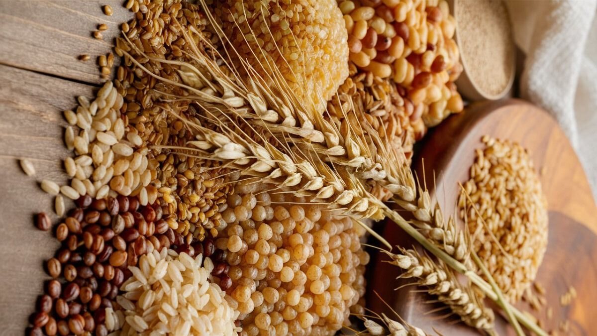 Himachal’s Forgotten Grains feeeda3ba22694aaca42dcb1bc1e81fa