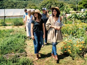 18367158c6ef8687dc62905da220b11a