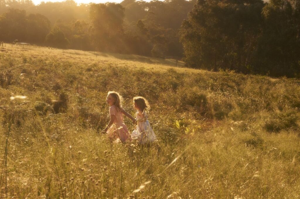 1ff141c24276821e94baab705c41c913